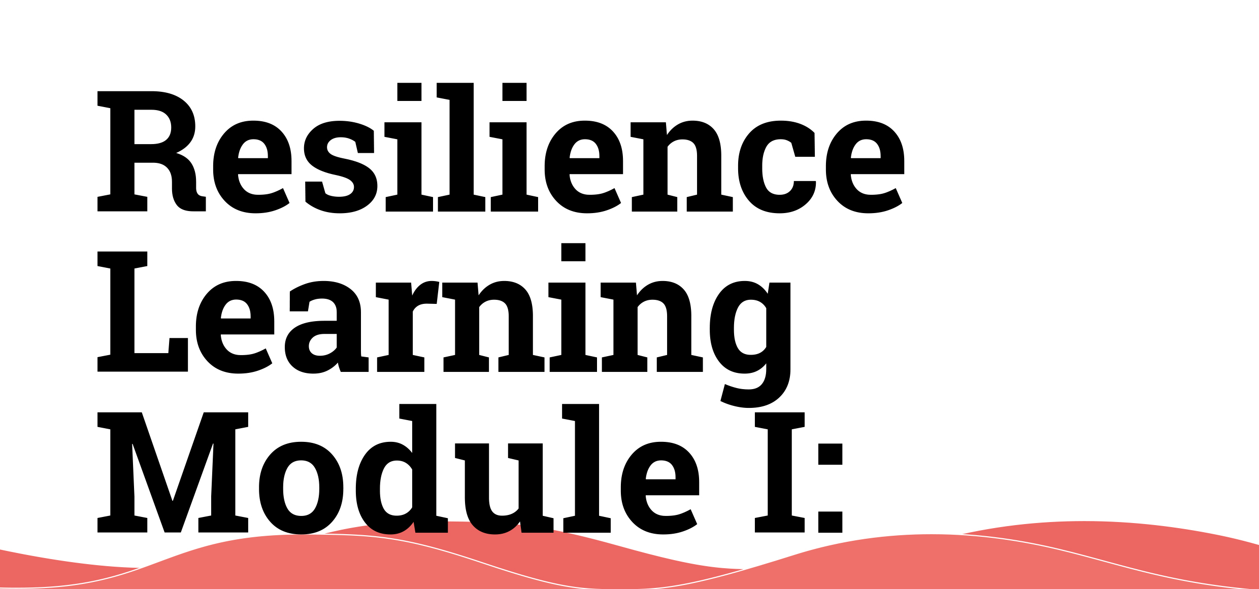 Resilience Learning Module: Localizing the Sendai Framework for DRR